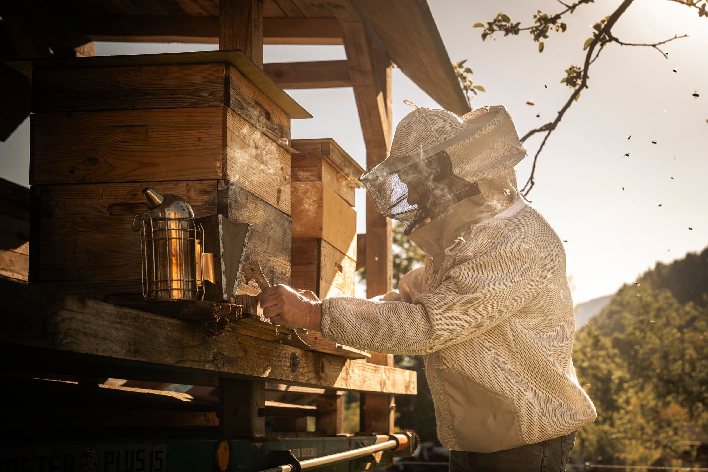 Imker am Bienenstand in Liebetig - Bienenpädagogik in der Praxis