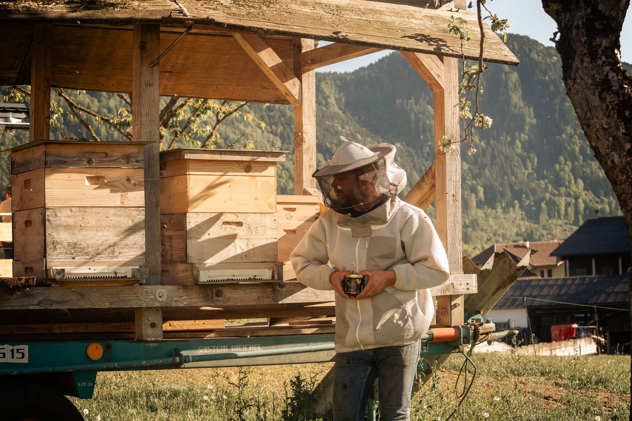 Imker am Bienenwagen mit Blick auf die Kärntner Berglandschaft